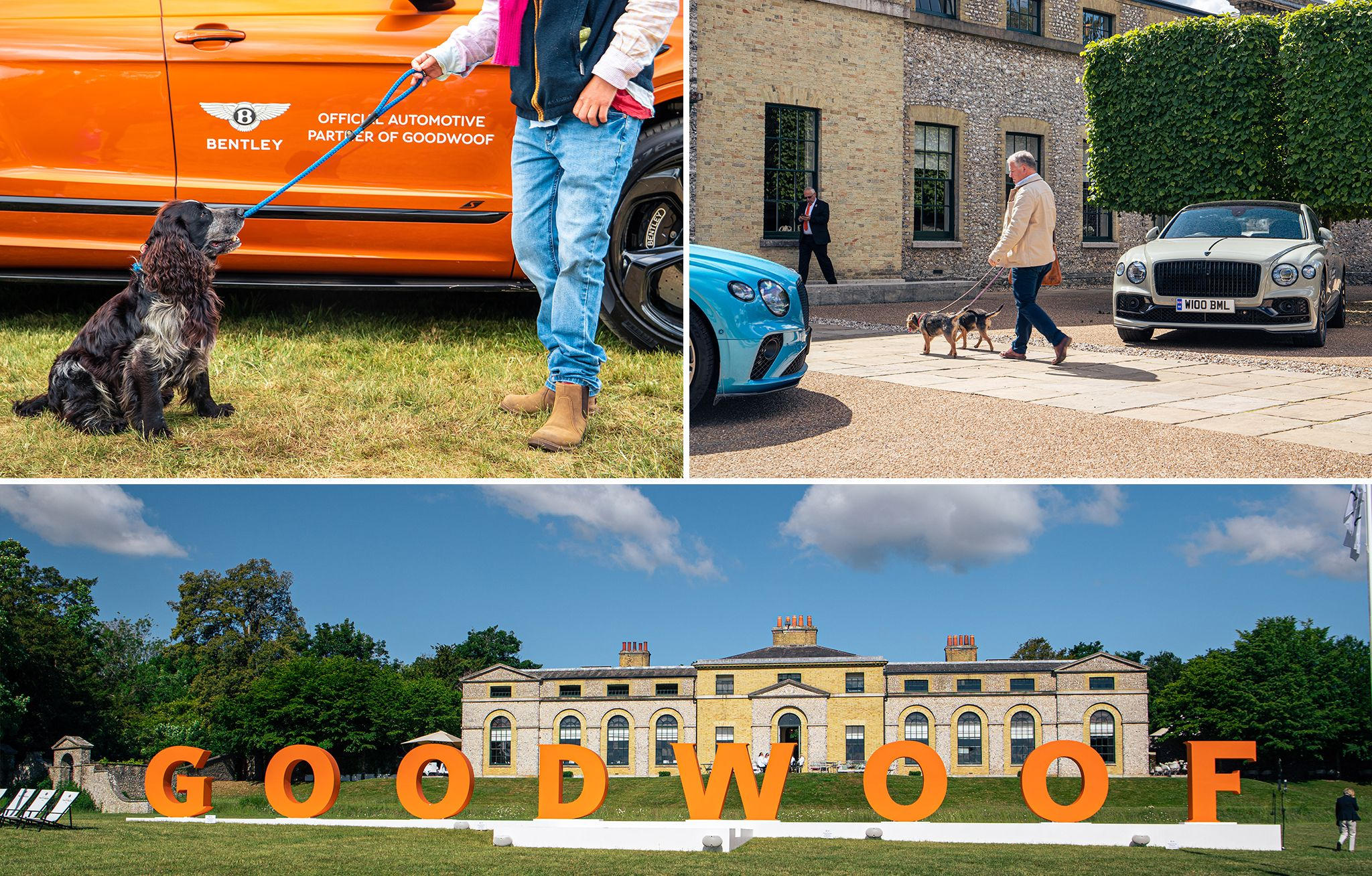 Bentley raises the Woof - at Goodwood’s festival for dogs - cChic Magazine Suisse