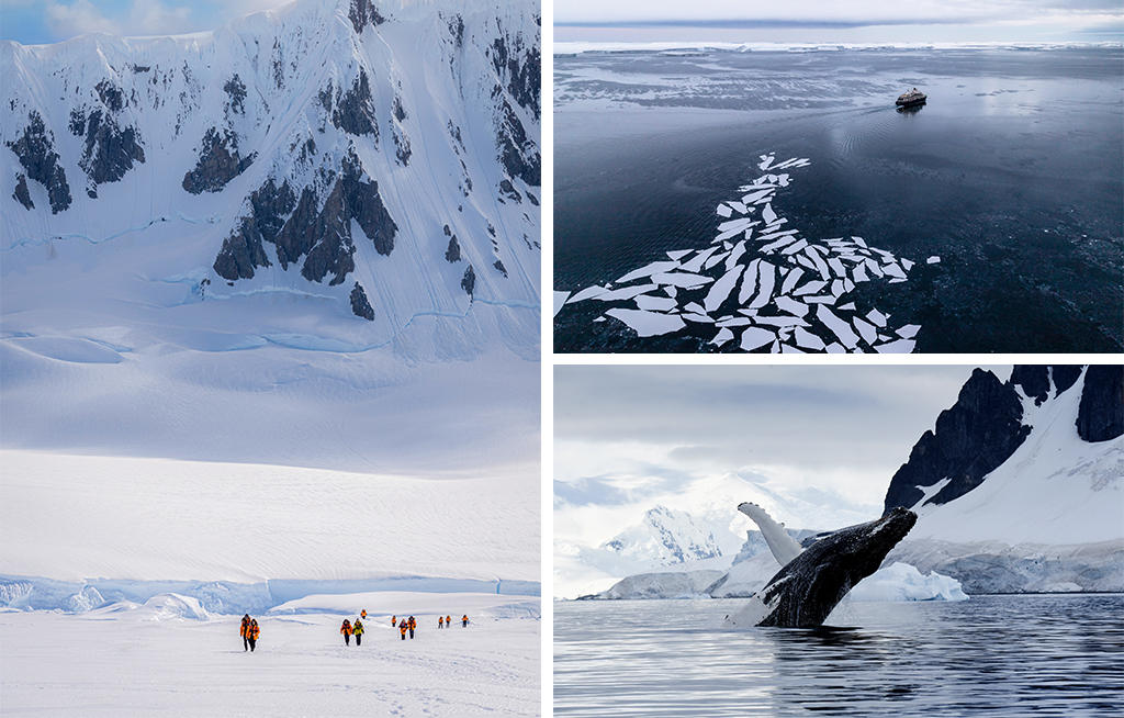 PONANT dévoile - toutes les facettes de l’Antarctique