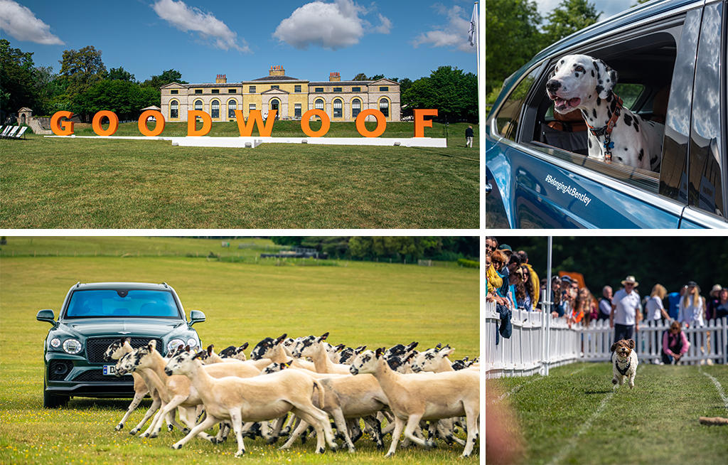 Bentley returns for a pawfect weekend at Goodwood’s festival for dogs